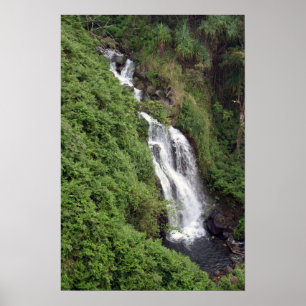 Affiche Cascade près de Hilo, Hawaï