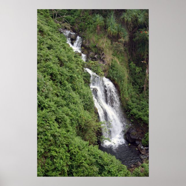 Affiche Cascade Près De Hilo, Hawaii (Devant)