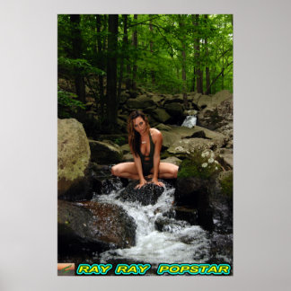 Affiche Cascade Ray Ray Popstar N°4