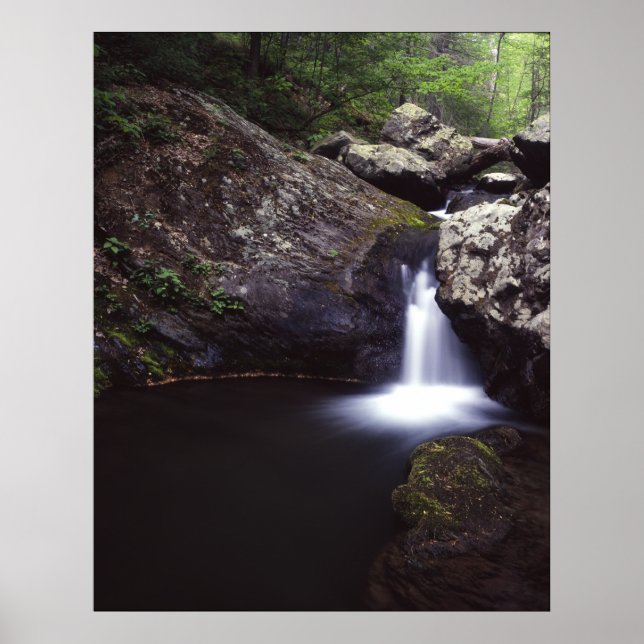 Affiche Cascade sur la rivière Rose (Devant)