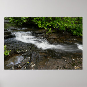 Affiche Cascade tranquille de la forêt