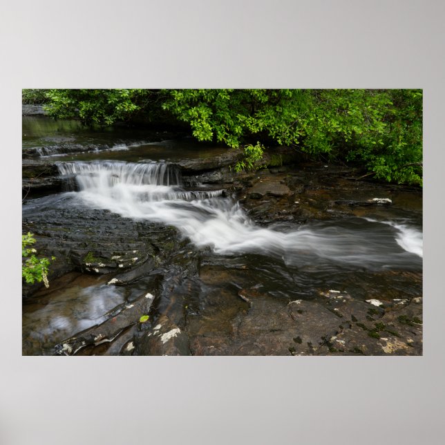 Affiche Cascade tranquille de la forêt (Devant)