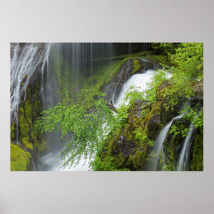 Affiche Cascade Verte Scénique