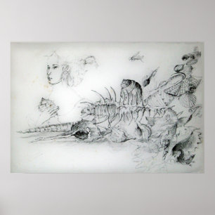 AFFICHE CASCADES AVEC JEUNE FILLE