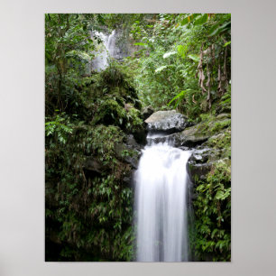 Affiche Cascades de Juan Diego