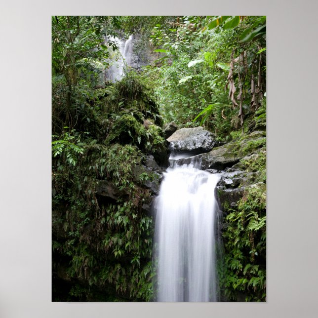Affiche Cascades de Juan Diego (Devant)