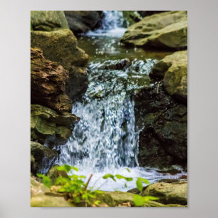 Affiche Cascades de la forêt moussue