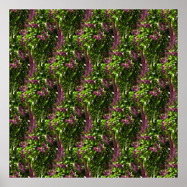 Affiche Cascades de Lilac.... (Devant)