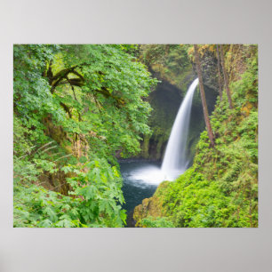 Affiche Cascades de Metlako