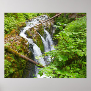 Affiche Cascades de Sol Duc II au Parc national Olympique