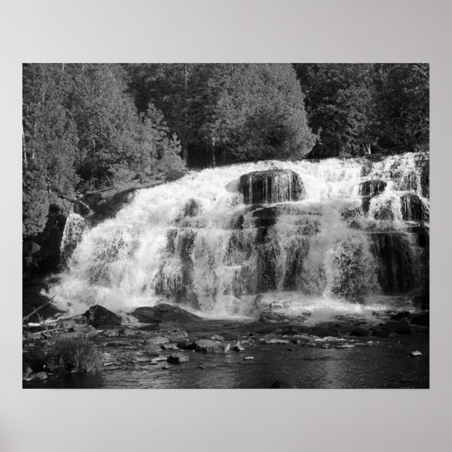 Affiche Cascades noires et blanches entourées d'arbres 16x (Devant)