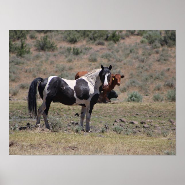 Affiche Casino (Devant)