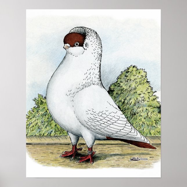 Affiche Casque : Pigeon rouge (Devant)