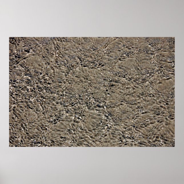 Affiche Castlepoint (Devant)