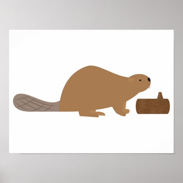 Affiche Castor (Devant)