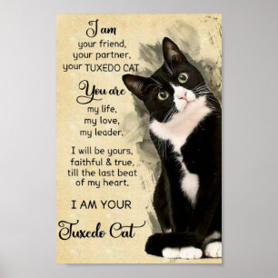 Affiche Cat