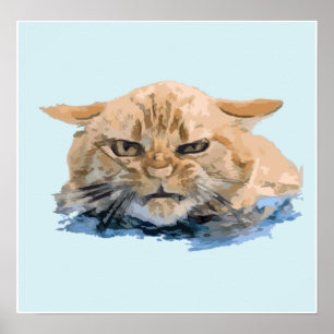 Affiche cat