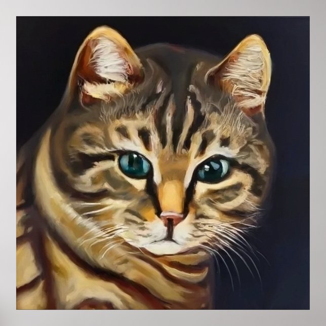 Affiche Cat américain shorthair (Devant)