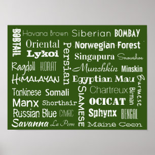Affiche Cat Breeds