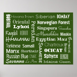Affiche Cat Breeds