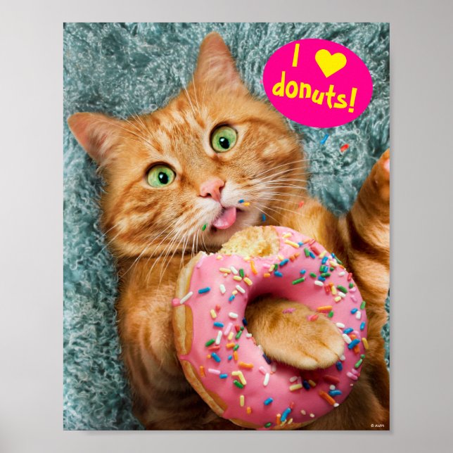 Affiche Cat Eating Donut (Devant)