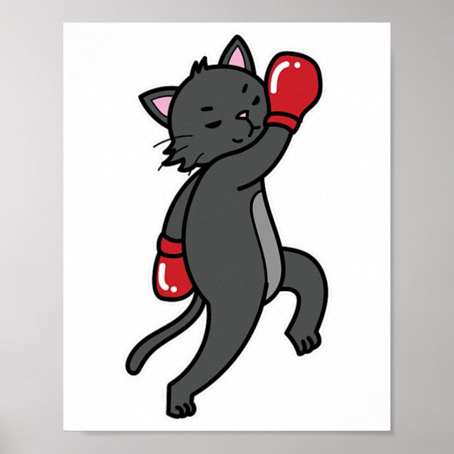 Affiche Cat fait la boxe (Devant)