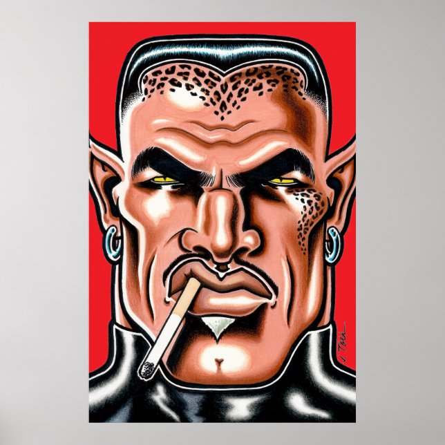 Affiche Cat-Man from the Moon/Large (Devant)