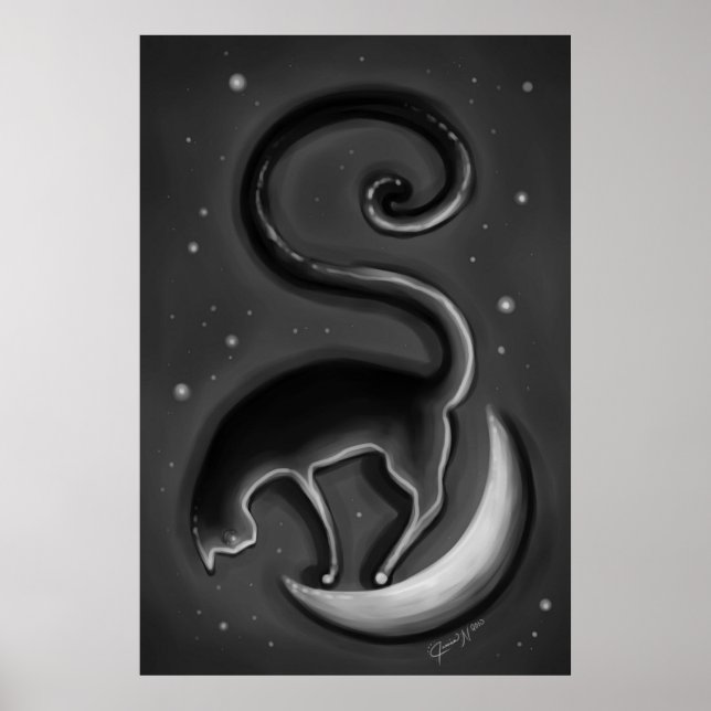 Affiche Cat on the moon (Devant)