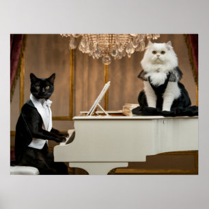 Affiche Cat Piano Lounge