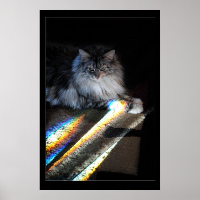 Affiche Cat Rainbow Bridge (Devant)