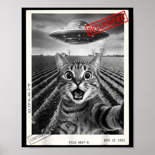 Affiche Cat Selfie Ufo Alien Funny Surprised Cat Meme Men  (Devant)