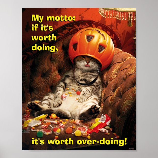 Affiche Cat Under Candy Bucket (Devant)