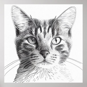 Affiche Cat Wild Nature Animal Illustration Art Dessin