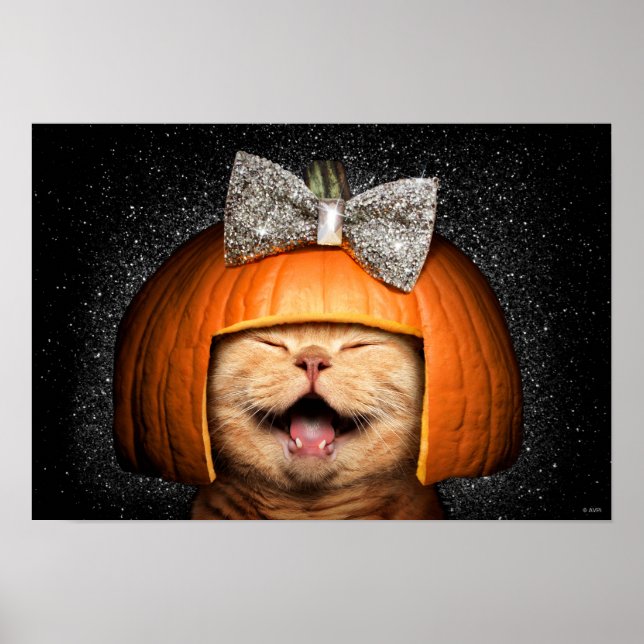 Affiche Cat With Pumpkin Hair (Devant)