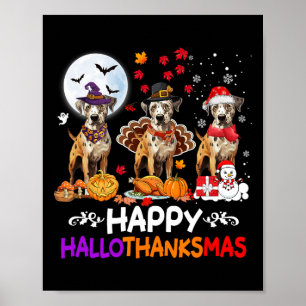 Affiche Catahoula Leopard Chien Noël Hallothankmas Thé