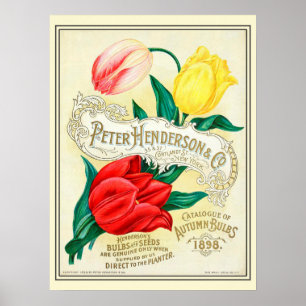 Affiche Catalogue vintage de semences de fleurs de jardina