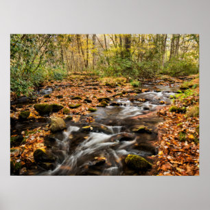 Affiche Cataloochee Creek NC Great Smoky Mountains