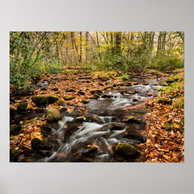Affiche Cataloochee Creek NC Great Smoky Mountains (Devant)