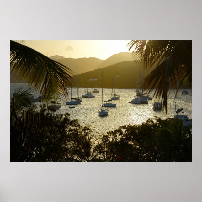 Affiche Catamarans et voiliers (Devant)