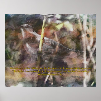 Affiche Catbird avec citation Vivek Wadwha