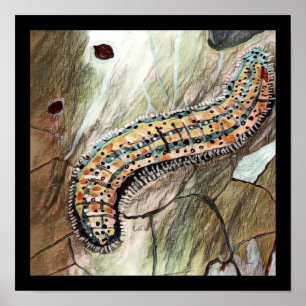 Affiche Caterpillar 🐛 De L'Est 🦋 Papillon Blanc