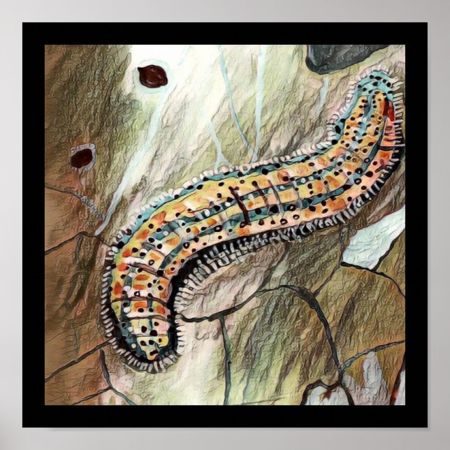 Affiche Caterpillar 🐛 De L'Est 🦋 Papillon Blanc (Devant)
