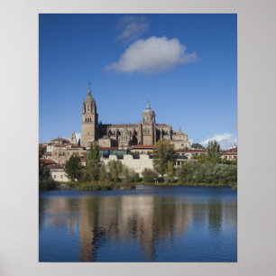 Affiche Cathédrales et ville de Salamanque