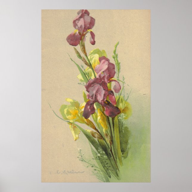 Affiche Catherine Klein Vintage Litho Reproduction Canvas (Devant)