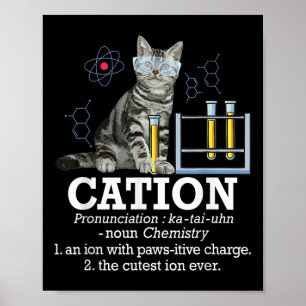 Affiche Cation - Chimie amusante Humour Science Enseignant