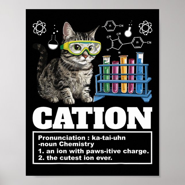 Affiche Cation Chimie Humour Sciences Enseignant Cat Pun C (Devant)