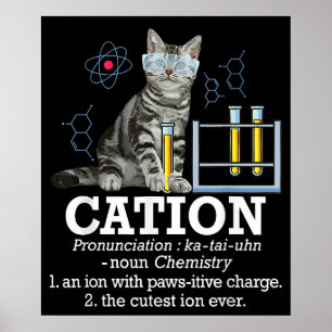 Affiche Cation Fun Chimie Humour Science Enseignant Chat P