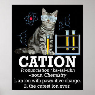 Affiche Cation Fun Chimie Humour Science Enseignant Chat P