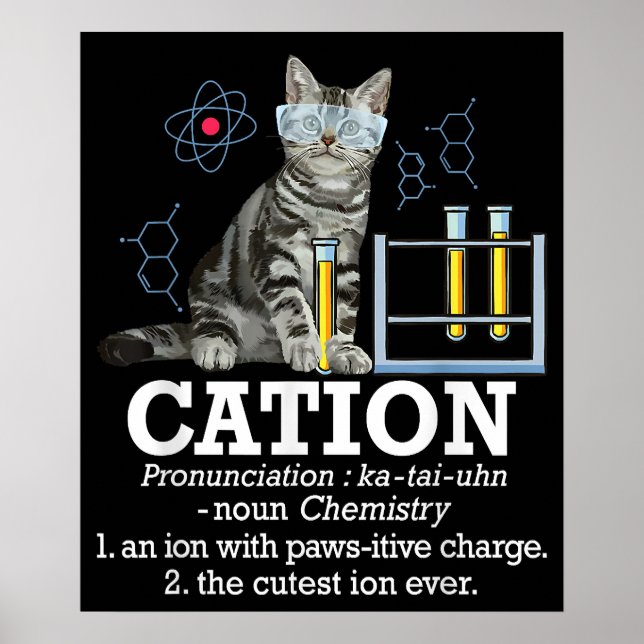 Affiche Cation Fun Chimie Humour Science Enseignant Chat P (Devant)