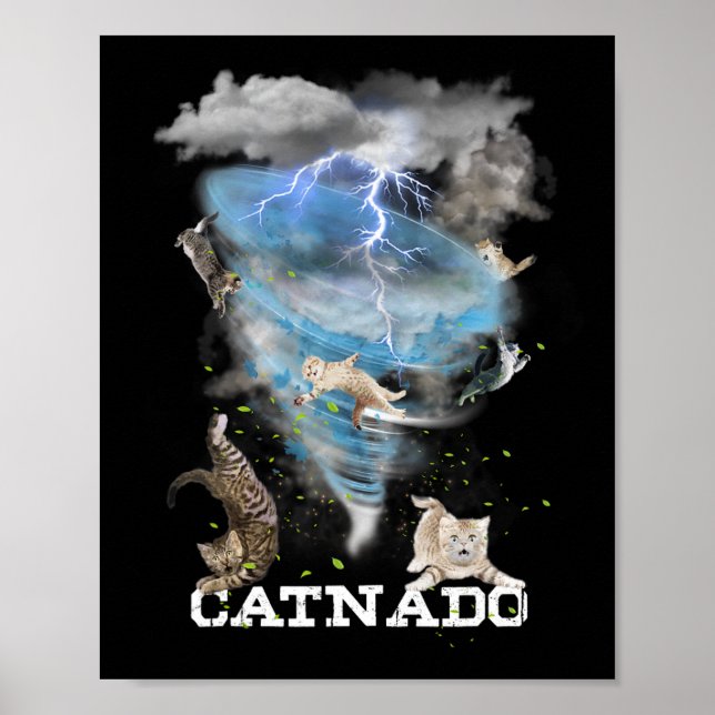 Affiche Catnado Funny Meilleur Amoureux des chats Graphiqu (Devant)